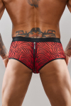 Shorty  zip en tulle zbr - Regnes