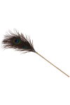 Plumeau  caresses Peacock Tickler - Taboom