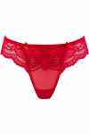 String br�silien V-9698 - Axami