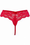String br�silien V-9698 - Axami